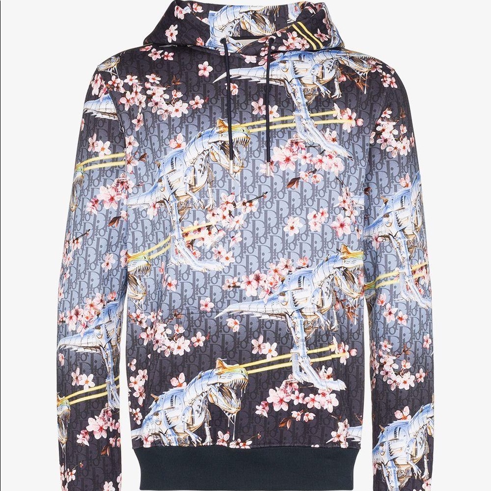 Dior x Sorayama T-Rex Hoodie